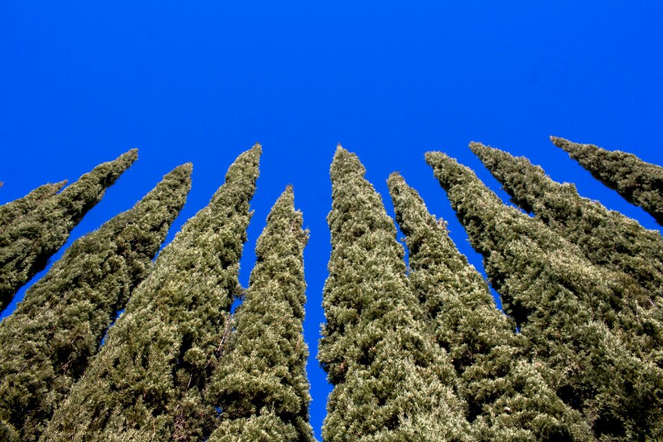 Skies nature outdoors