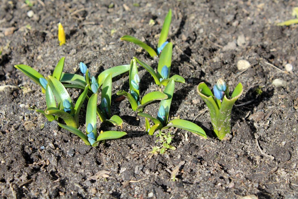 Soil spherical ground