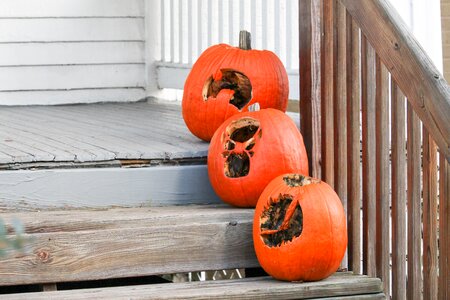 Pumpkin halloween