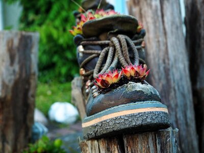 Old shoe boots photo