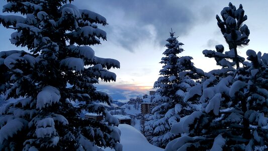 Snow tree no person