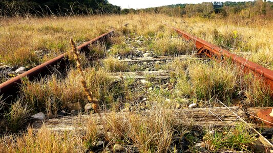Wood rail railway