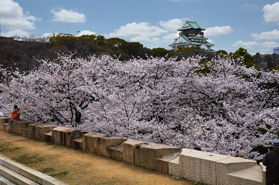 Landmark japanese kansai