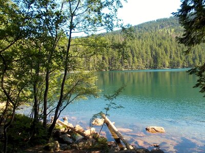 šumava black lake Free photos