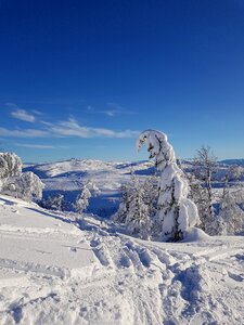 Colds mountain the landscape