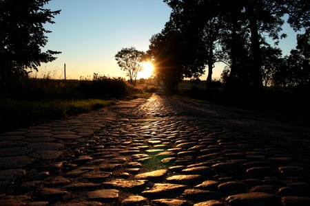 Cobble stone road summer