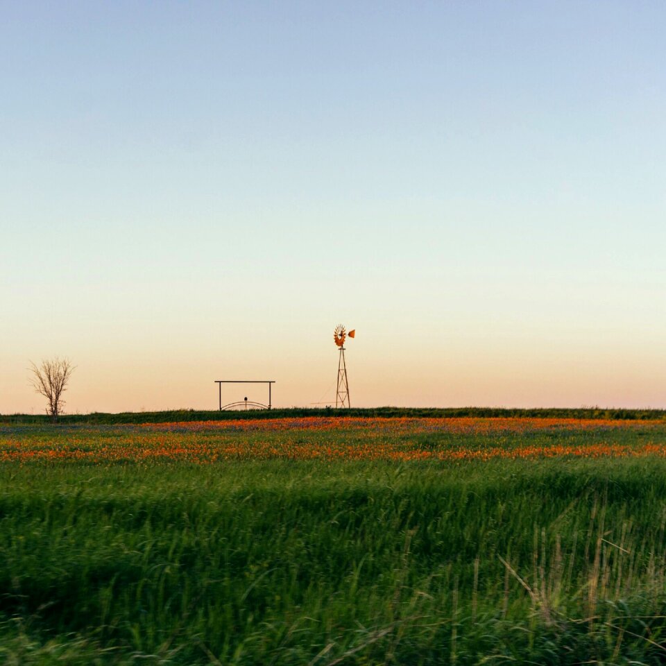 Farm sky