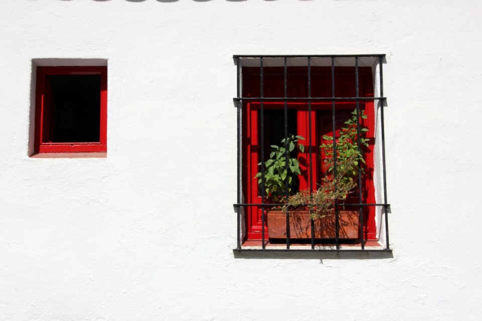Building wall window