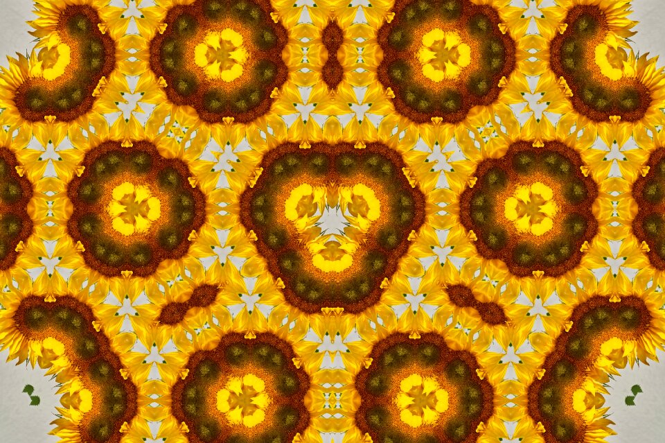 Texture background form