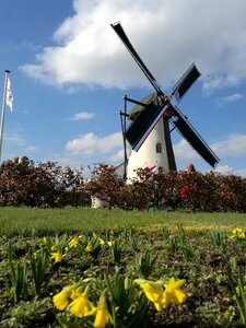 Weert limburg our kempenbroek windmill photo
