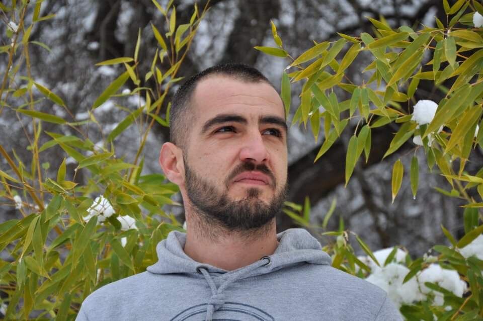 Portrait man Free photos