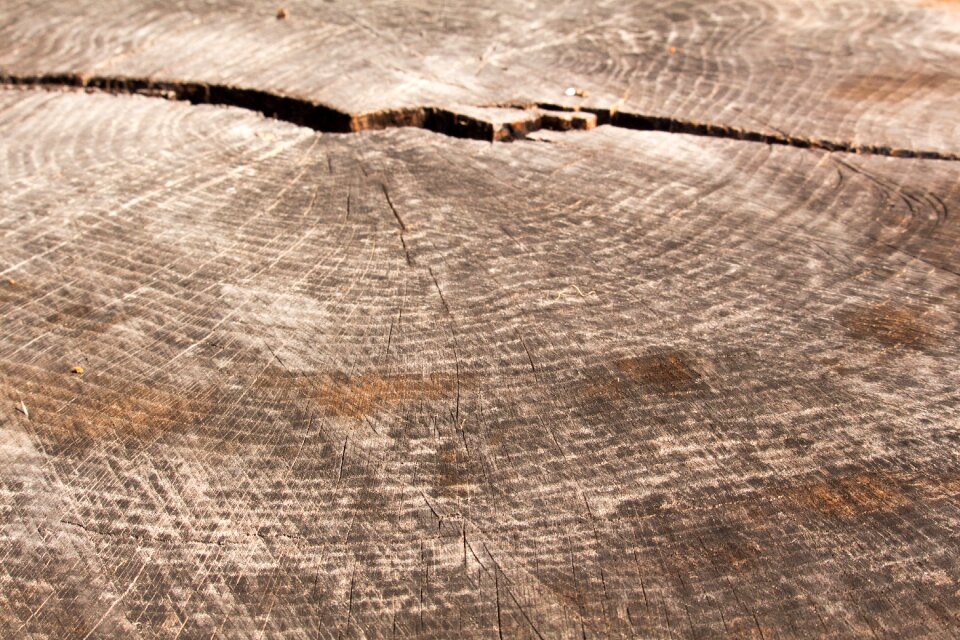 Desktop fabric rough