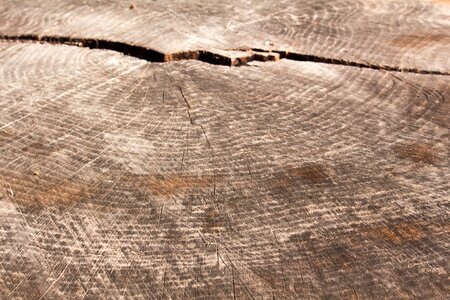 Desktop fabric rough