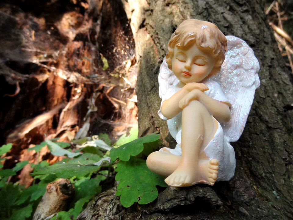 Trunk angel in nature nostalgia