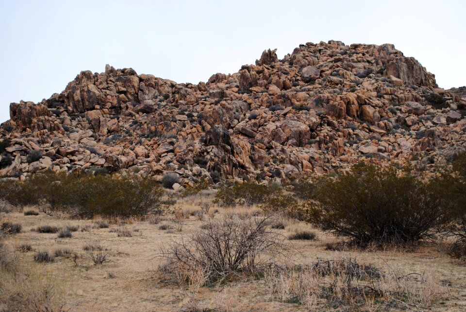 Rock sand joshua tree