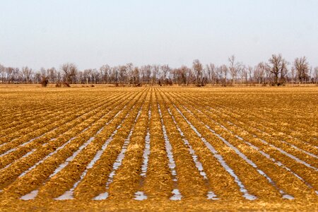 Field soil