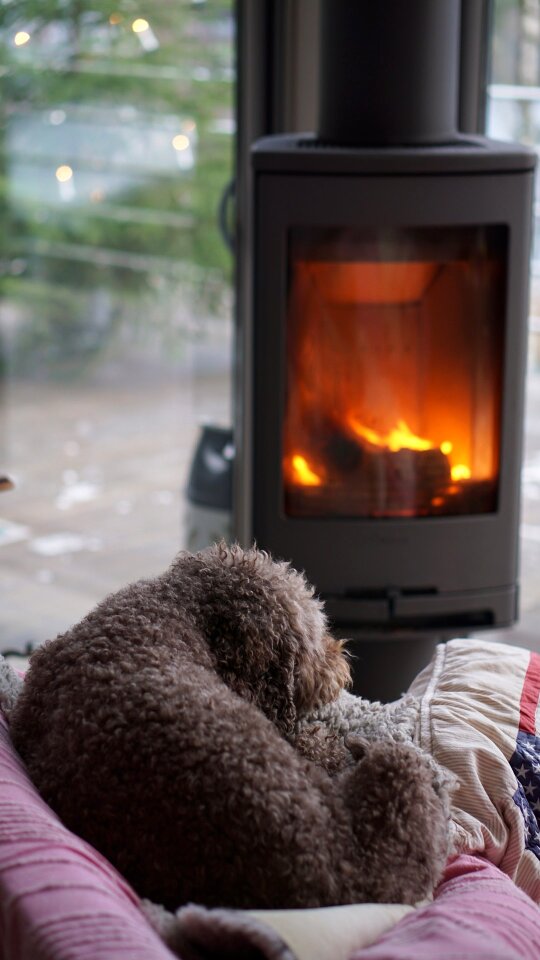 Hot fireplace dog