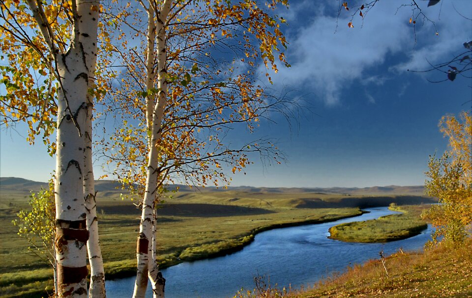 Autumn wood river