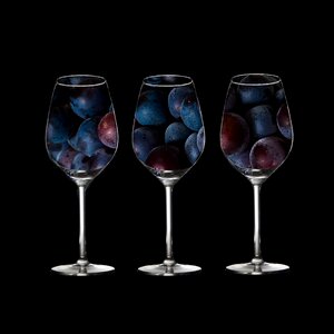 Alcohol wine glass winery photo