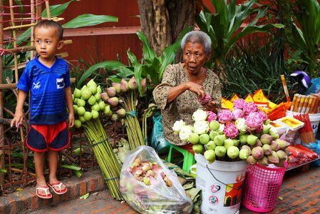 Sell child cambogia
