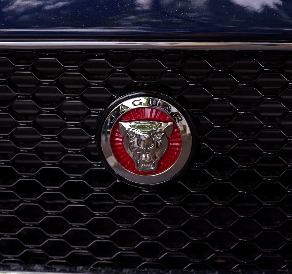 Logo grille vehicle