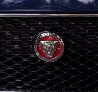 Logo grille vehicle
