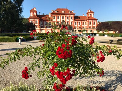 Architecture no person troja palace photo