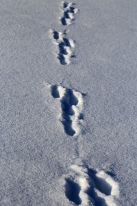 Winter ice footprint