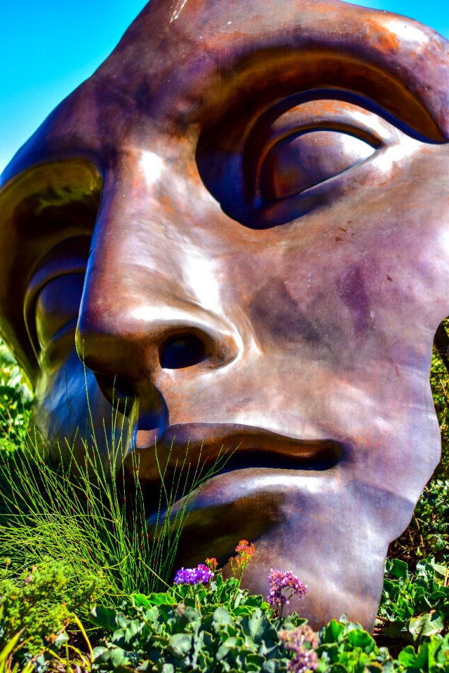 Sculpture hidden valley wine estate south africa