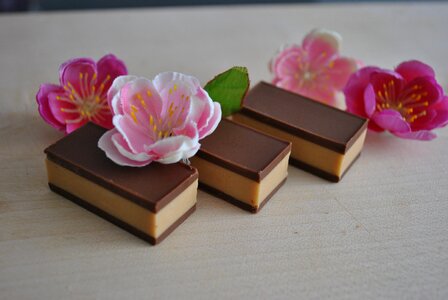 Cacao chocolate bar photo