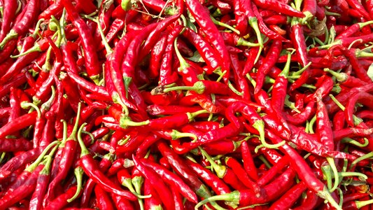 Spice vegetable red food