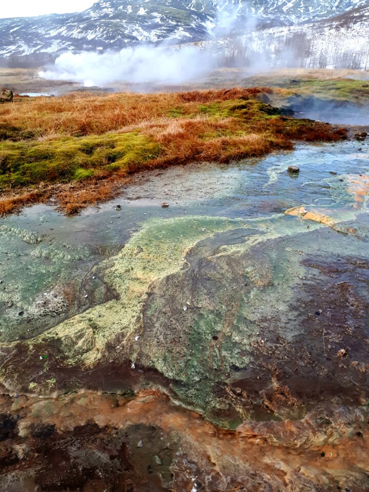 Gejsir travel iceland