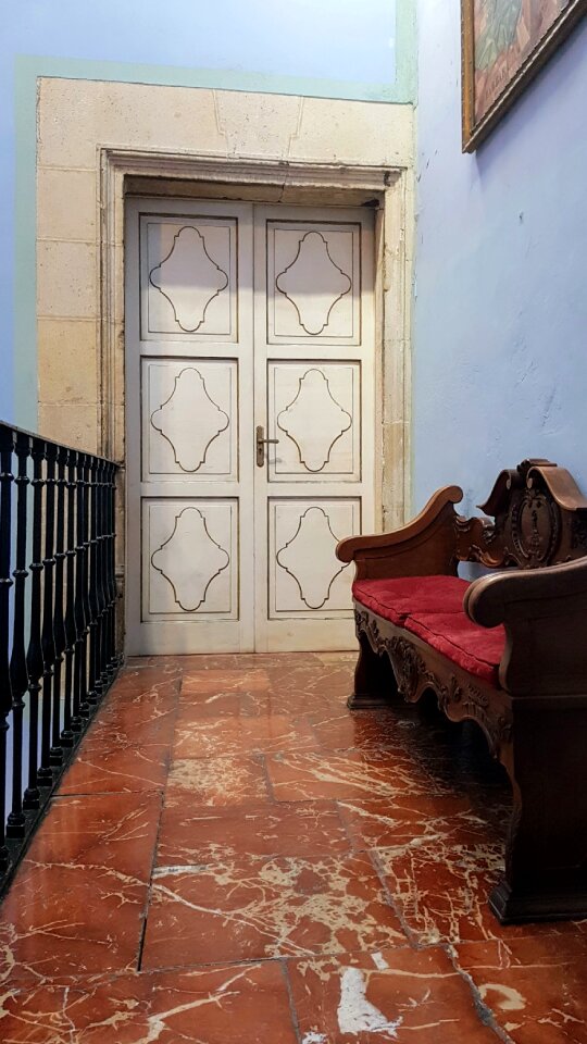 Door wood alicante