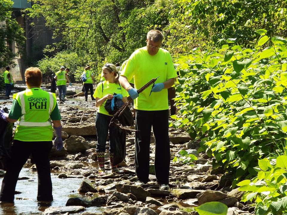 Creek stream cleaning