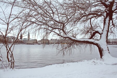 Cold frost alster
