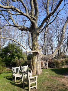 Nature outdoor chair photo