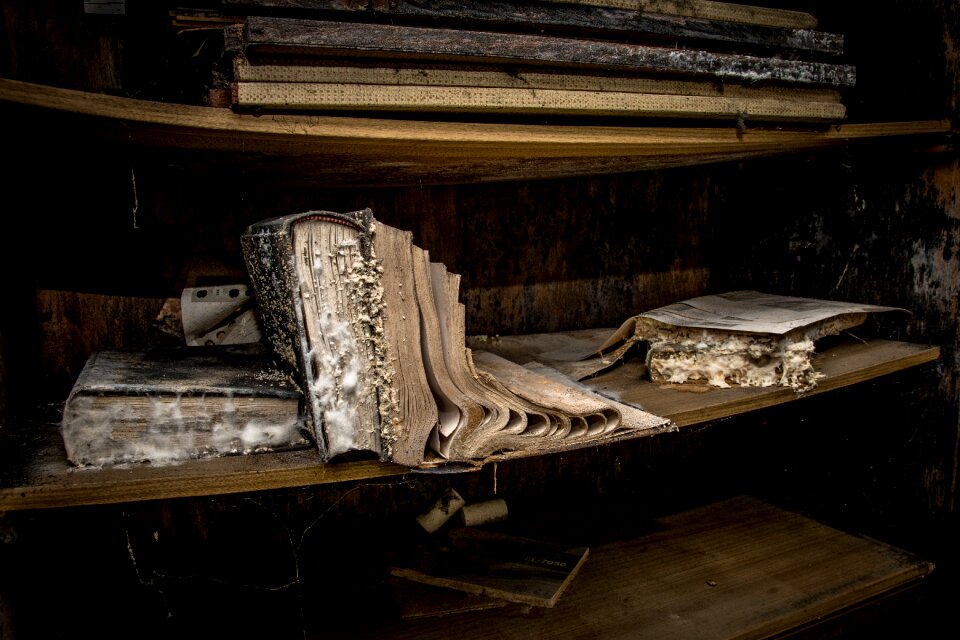 Abandoned old lost