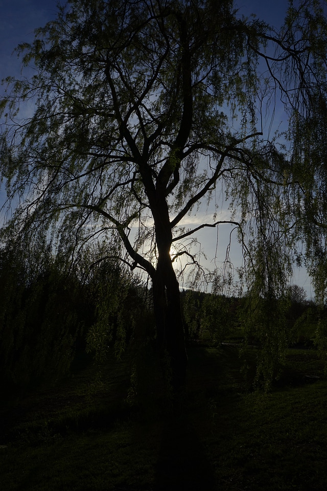 Aesthetic dark threatening