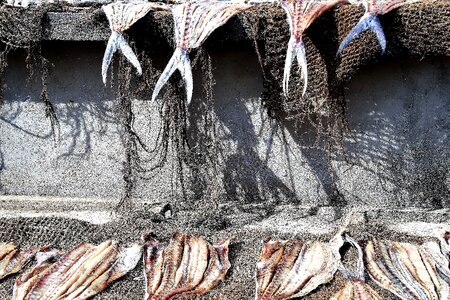 A fishing village fish market work photo