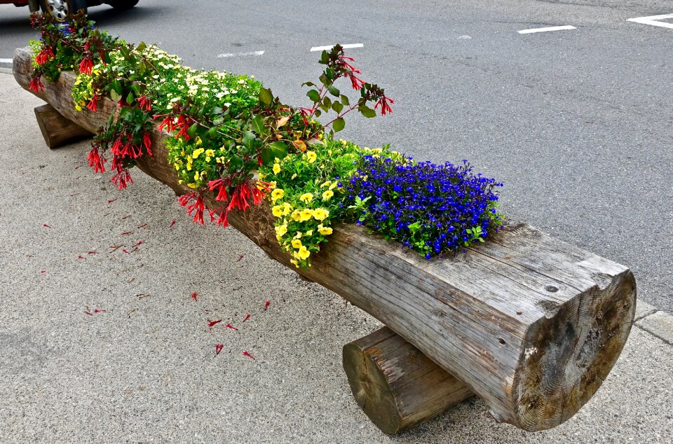 Log decoration bouquet
