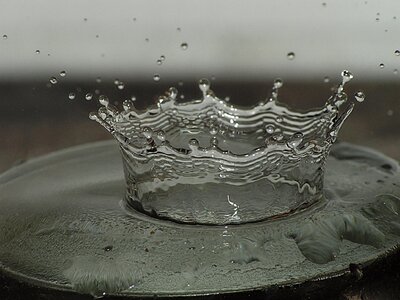 Group wet macro