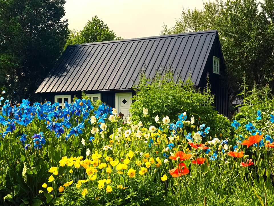 Plant garden meadow