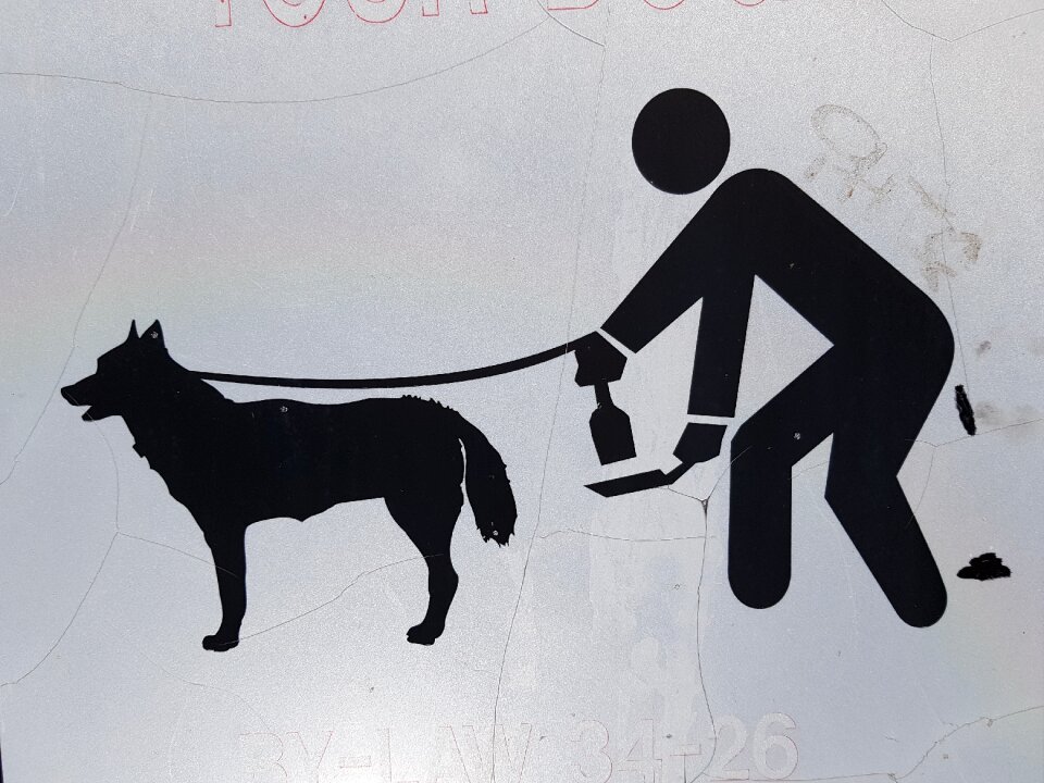 Mammal sign funny