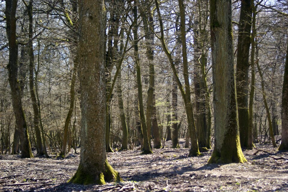 Landscape season environment