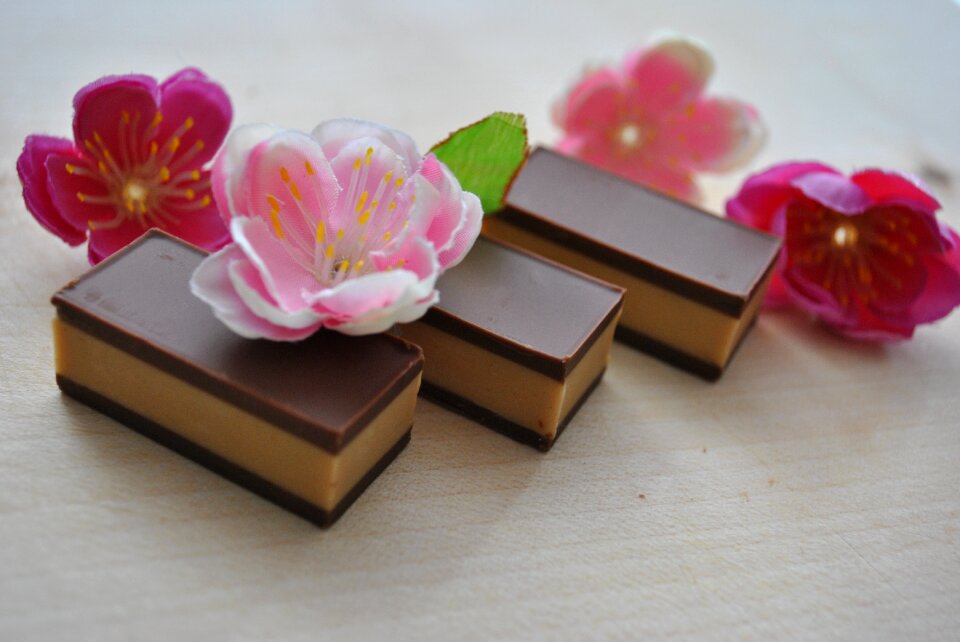 Chocolate brown praline