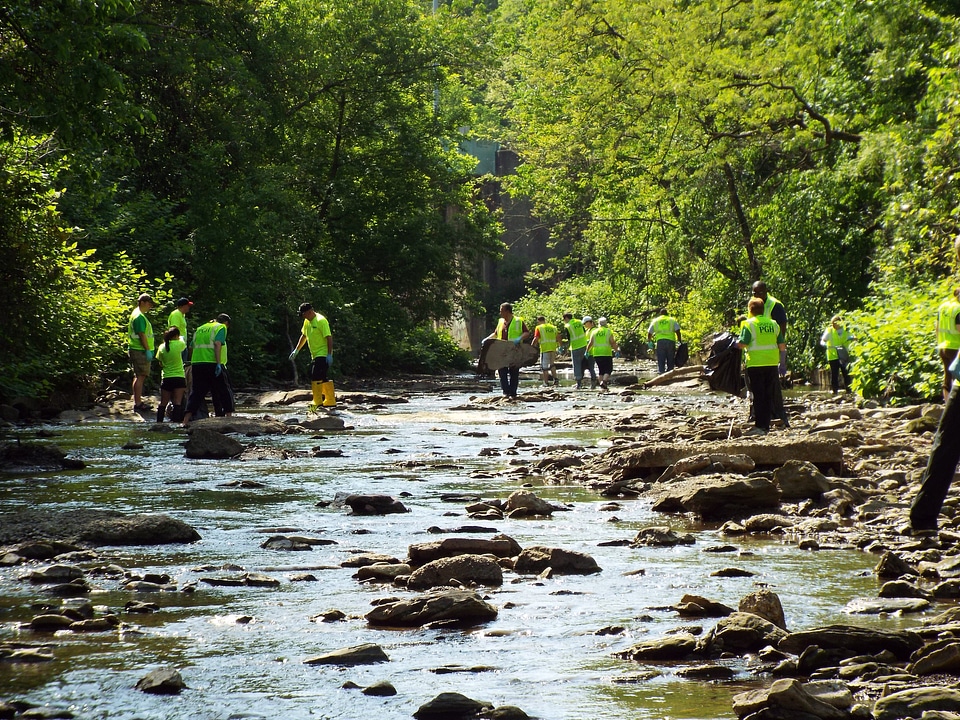 Creek scenic environment