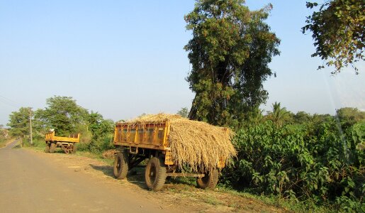Rural summer