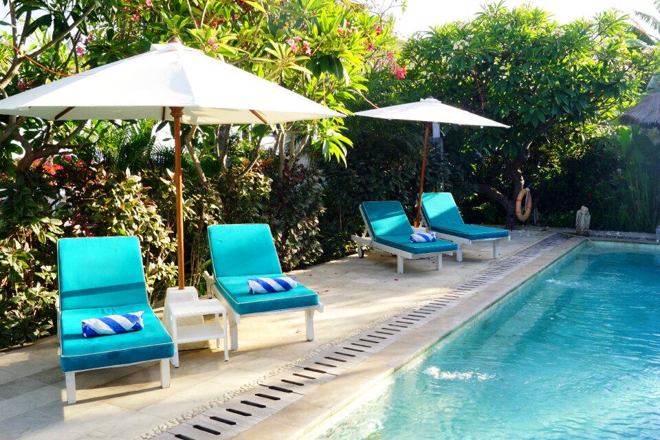 Tropical summer relaxation