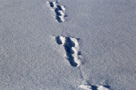 Winter ice footprint