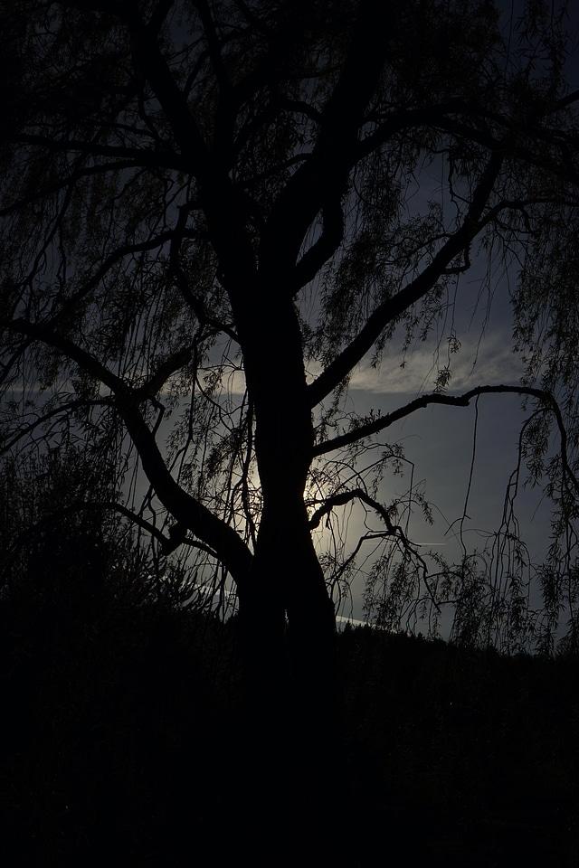 Aesthetic dark threatening